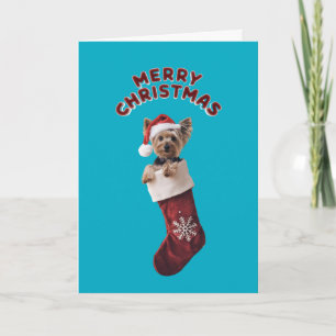 Cute Yorkie Christmas Holiday Stocking Card