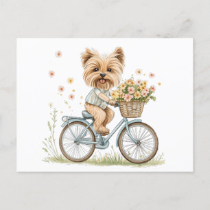 Cute Yorkie Dog Biking Spring Flowers Postcard