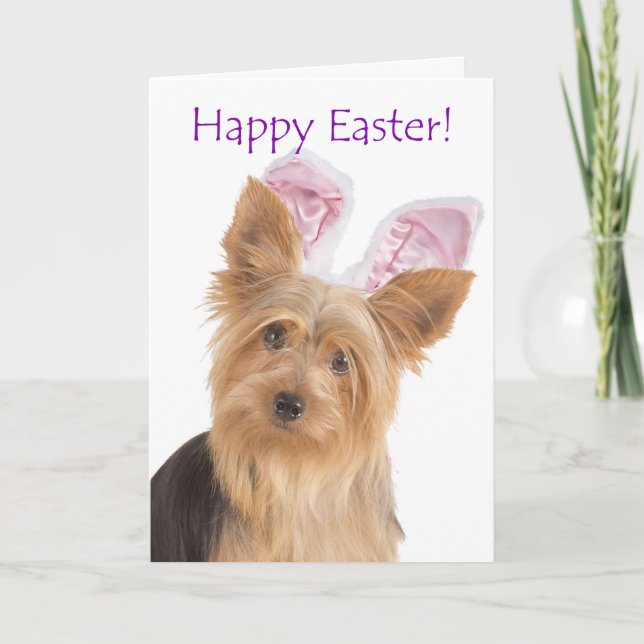 Cute Yorkie Easter Card (Front)