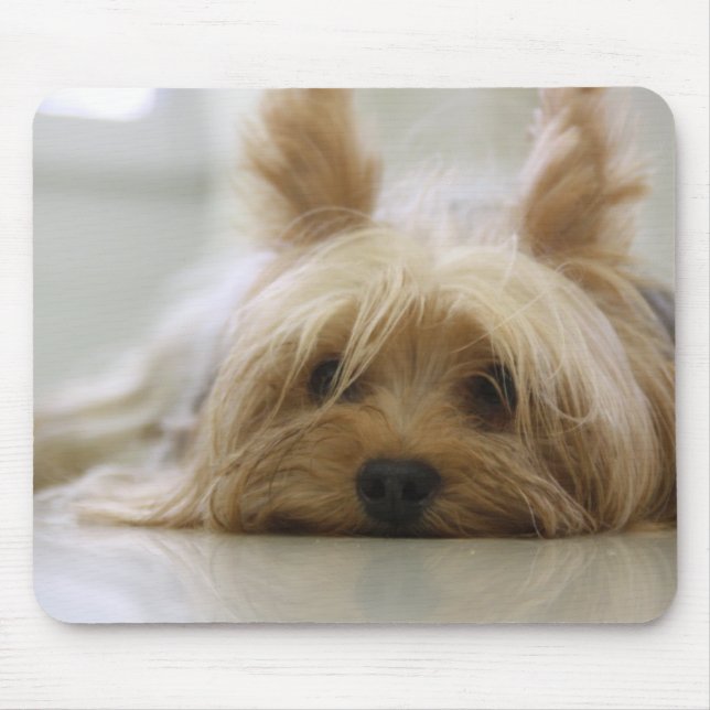 Cute Yorkie Mouse Pad (Front)