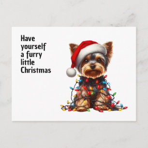Cute Yorkie On Santa Hat And Christmas Light  Holiday Postcard