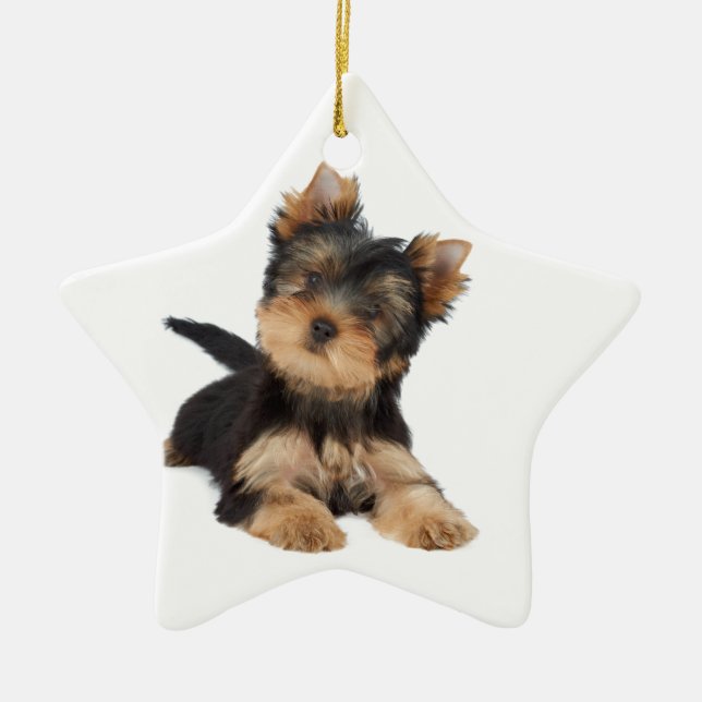 Cute yorkie puppy ceramic tree decoration (Front)
