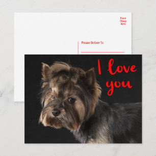 Cute Yorkie Puppy Dog Yorkshire Terrier Love Postcard