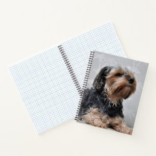 Cute Yorkie Yorkshire Terrier Sunbathing  Notebook