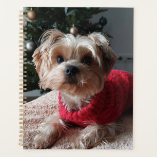 Cute Yorkie Yorkshire Terrier with Christmas Tree Planner