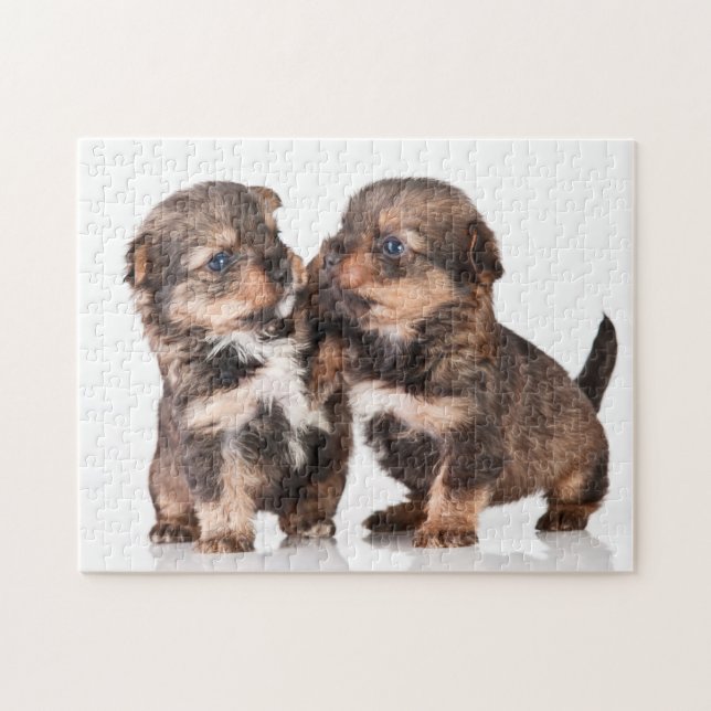 Cute Yorkshire Puppies Jigsaw Puzzle (Horizontal)