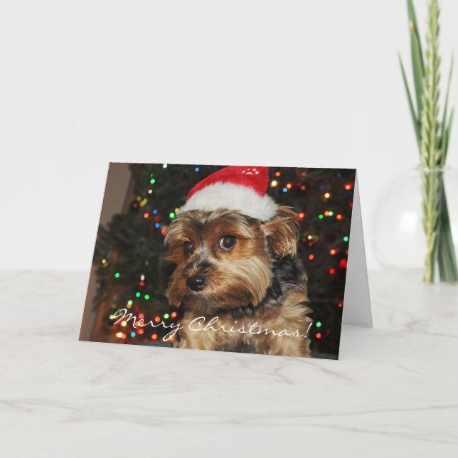 Cute Yorkshire Terrier Christmas Card (Front)