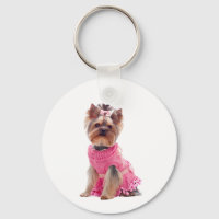 Cute Yorkshire Terrier Diva Yorkie Puppy Dog