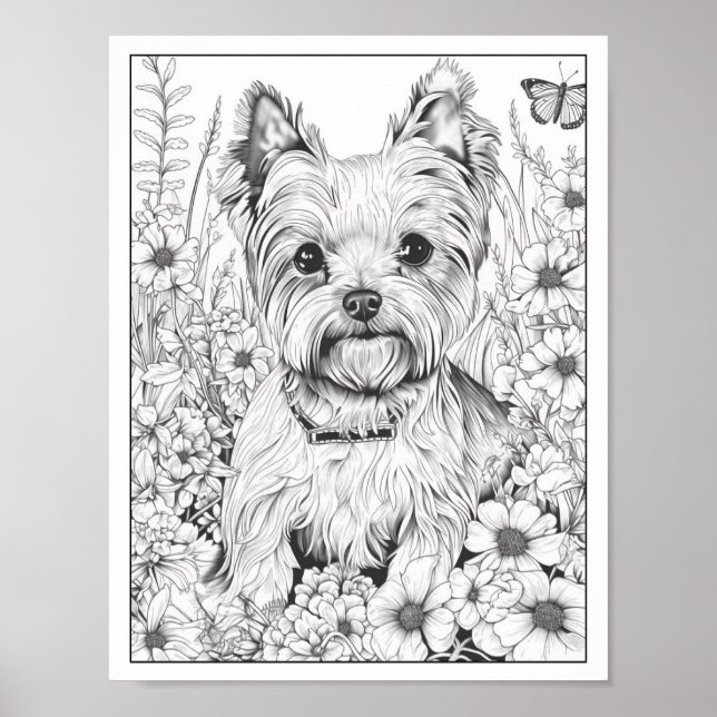 Cute Yorkshire Terrier Dog Colouring Poster (Front)