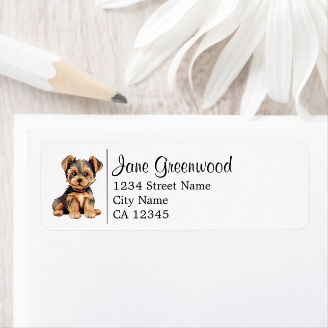 Cute Yorkshire Terrier Dog Name And Address (Insitu)