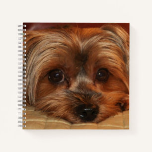 Cute Yorkshire Terrier Dog Notebook