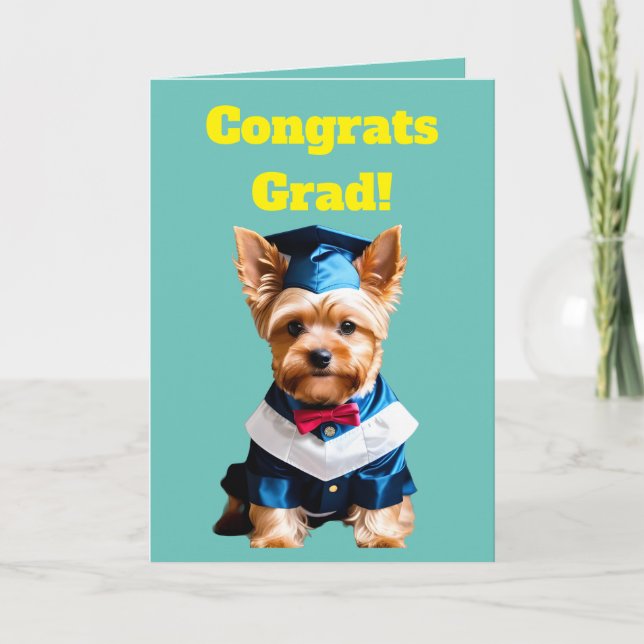 Cute Yorkshire Terrier Graduation Card (Front)