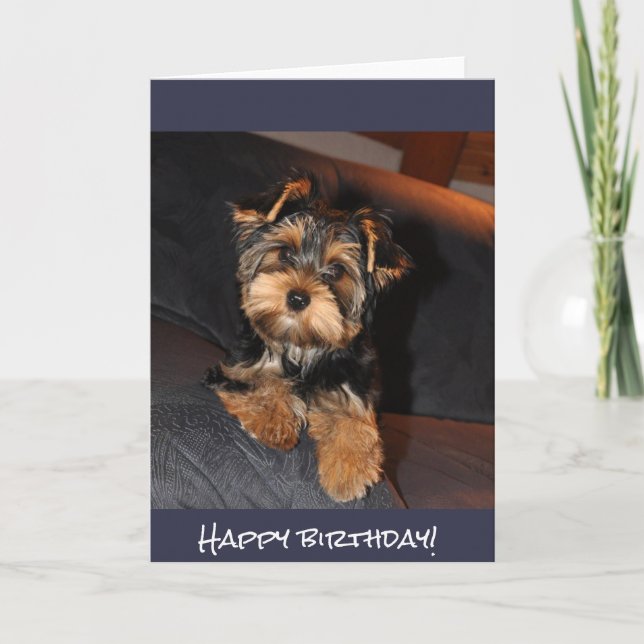 Cute Yorkshire Terrier, Happy birthday! Card (Front)