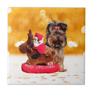 Cute Yorkshire Terrier Merry Christmas Tile