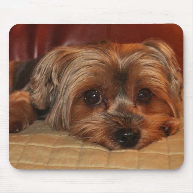Cute Yorkshire Terrier Mousepad (Front)