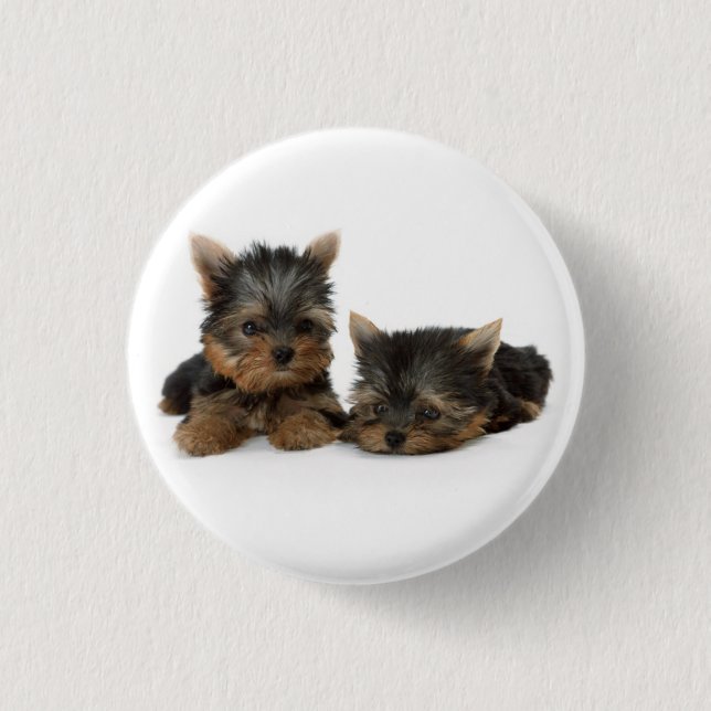 Cute Yorkshire Terrier puppies 3 Cm Round Badge (Front)