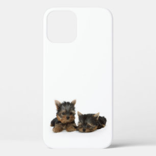 Cute Yorkshire Terrier puppies iPhone 12 Case