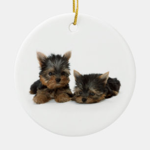 Cute Yorkshire Terrier puppies Ceramic Tree Decoration
