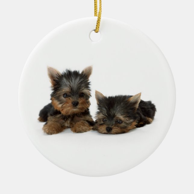 Cute Yorkshire Terrier puppies Ceramic Tree Decoration (Front)