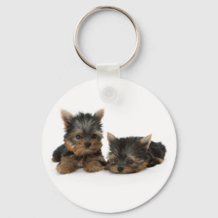 Cute Yorkshire Terrier puppies Key Ring