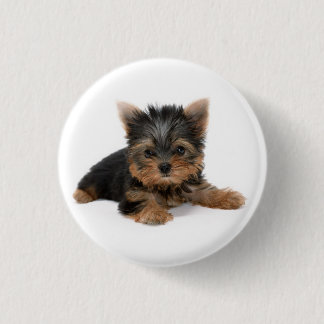 Cute Yorkshire Terrier Puppy 3 Cm Round Badge