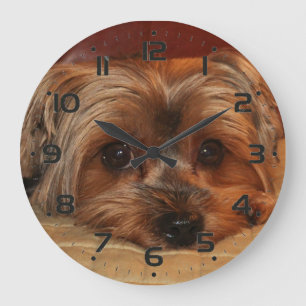 Cute Yorkshire Terrier Puppy Large Clock