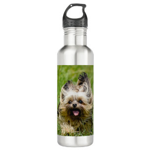Cute Yorkshire Terrier Running Through Grass 710 Ml Water Bottle