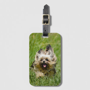 Cute Yorkshire Terrier Running Through Grass Luggage Tag