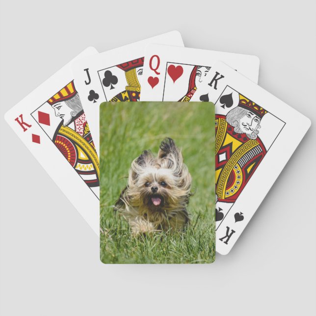 Cute Yorkshire Terrier Running Through Grass Playing Cards (Back)