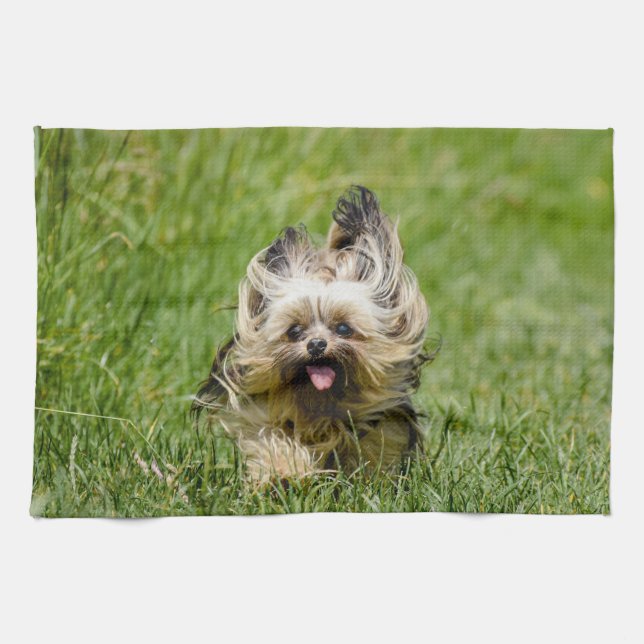 Cute Yorkshire Terrier Running Through Grass Tea Towel (Horizontal)