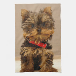 Cute Yorkshire Terrier Tea Towel