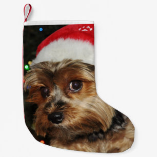 Cute Yorkshire Terrier with Santa Hat Small Christmas Stocking