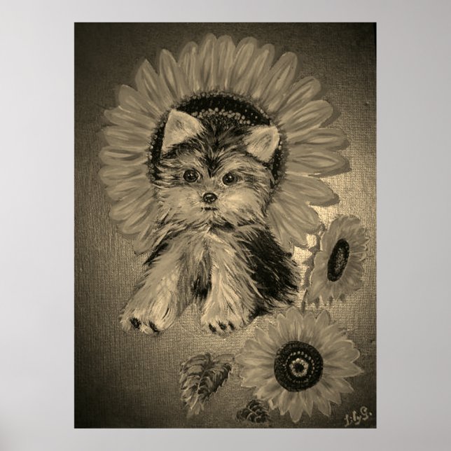 Cute Yorkshire Terrier with Sunflowers Poster (Front)