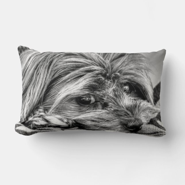 Cute Yorkshire Terrier Yorkie Black and White Art Lumbar Cushion (Front)