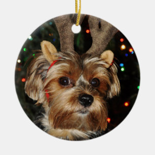 Cute Yorkshire Terrier Yorkie with Reindeer Antler Ceramic Tree Decoration