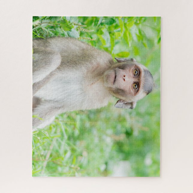 Cute Young Brown Spider Monkey Jigsaw Puzzle (Vertical)