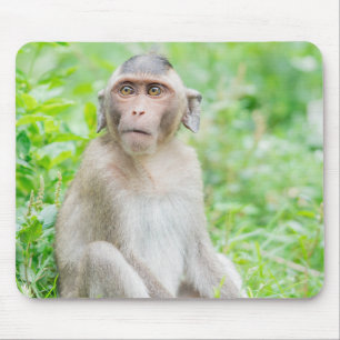 Cute Young Brown Spider Monkey Mouse Pad