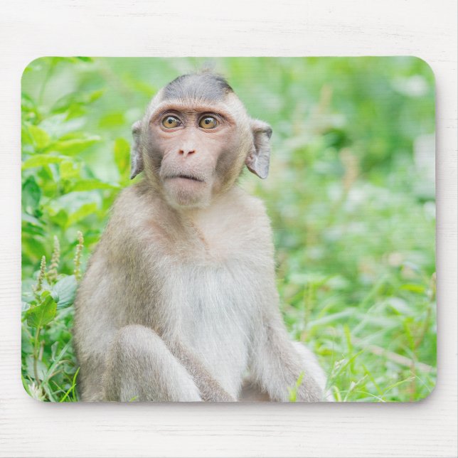 Cute Young Brown Spider Monkey Mouse Pad (Front)