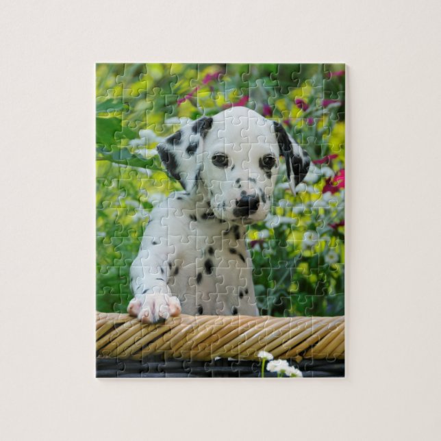 Cute Young Dalmatian Dog Puppy Game 8x10 Jigsaw Puzzle (Vertical)