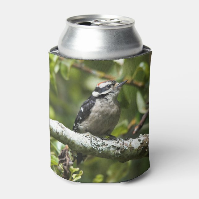 Cute Young Downy Woodpecker in the Pear Tree Can Cooler (Can Front)