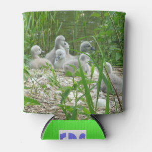 Cute young Swans Can Cooler
