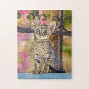 Cute Young Tabby Kitten with Blue Eyes in a Garden Jigsaw Puzzle