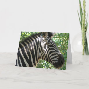 Cute Zebra Greeting Card