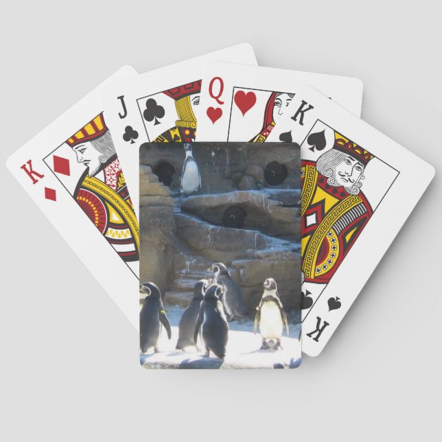 Cute zoo penquins playing cards (Back)