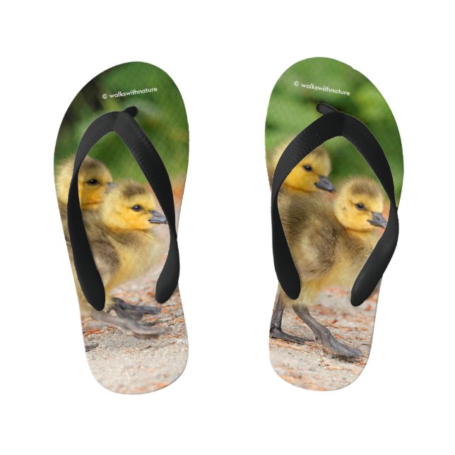 Cuteness on Parade: Canada Goose Goslings Kid's Jandals (Footbed)