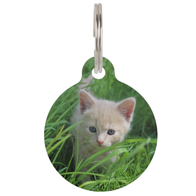 Cuteness Overload Pet Tag (Front)
