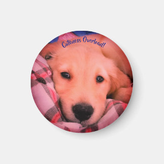 Cuteness Overload, Small Round Magnet