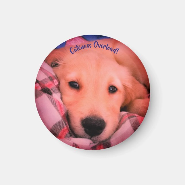 Cuteness Overload, Small Round Magnet (Front)