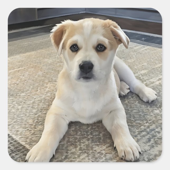 Cuteness Puppy Overload  Sticker (Front)