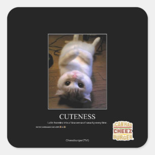 Cuteness Square Sticker